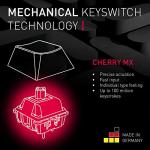 Cherry MX 8.2 TKL Wireless Gaming Keyboard. Compact TenKeyLess. Mechanical 87 Keys RGB Backlit Keys ABS Keycaps. MX Brown Switch. Aluminum Carrying Case Included.