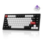 Keychron Q1 HE Wireless Custom Mechanical Keyboard with Hall Effect Gateron Double-Rail Magnetic Switch Rapid Trigger, QMK 2.4 GHz Bluetooth 5.2 RGB Compatible with Mac Windows Linux (Hot-swappable)