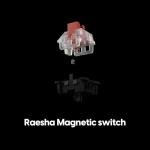 Pulsar Gaming Gears eS HE 70 Mechanical Gaming Keyboard, 8K Scan Rate & 8K Polling for Ultra-Low Latency, Hot Swappable, PBT Double-Shot Keycaps, RGB Backlit, Volume Knob, 70%, 79keys (Black)