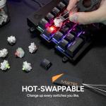 BAROCCOMiSTEL MiSTEL MD600 Alpha BT RGB, Split Keyboard, Ergonomic Mechanical Keyboard, 60%, PBT Double Shot Keycap (Transparent), Bluetooth5.0, Mac/Windows OS Compatible (Silent Red)