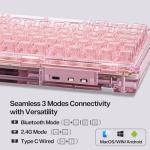 KiiBoom Phantom 81 75% Transparent Mechanical Gaming Keyboard, Hot Swappable Custom Gasket Keyboard with RGB Backlit, Clear Keycap, Rechargeable Battery, Triple Mode for Win/Mac (Phantom 81 V3 Pink)