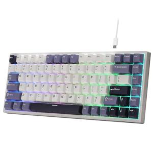 RK ROYAL KLUDGE C84 HE Rapid Trigger Gaming Keyboard, 75% TKL Wired RGB Mechanical Keyboard, Hall Effect Magnetic Switch Keyboard w/Actuation Point Adjustable, 8K Hz Polling Rate, for FPS Gamer