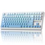 Aula F87 Pro Gaming Keyboard, Tri-Mode BT5.0/2.4GHz/USB-C Hot-Swappable RGB Wireless Mechanical Keyboard, Gasket Mount, 8000mAh, for Windows/Mac Gamer & Typists（LEOBOG Gray Wood Switch V4）