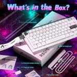 ATTACK SHARK R85 HE 75% Magnetic Wired Gaming Keyboard,8KHz Polling Rate Rapid Trigger,0.005mm RT Precision,256K Scan Rate,Custom Hot-Swappable,Web Driver PC Keyboard for Gamer/Win/Mac,Starlight White