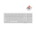 Keychron K4 Pro QMK/VIA Custom Wireless Mechanical Keyboard, Programmable Hot-swappable 100 Keys, RGB Backlight Wired Gaming Keyboard with K Pro Silent Red Switches for Mac/Windows/Linux