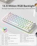 Keyporia L75 Wireless Mechanical Keyboard with Knob, 75% Hot Swappable Custom Gaming Keyboard Gasket Structure with RGB Backlit, Pre-lubed Switches, Crystal Jelly PBT Keycaps, 2.4GHz/USB-C/BT5.0 Mode