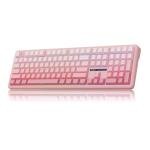 MechLands Aula F108 100% Wireless Gaming Keyboard, Full Size Custom Gasket Mechanical Keyboard, 4000mAh Battery, Programmable 108 Keys, Hot-Swappable, for Win/Mac (Pink Gradient)