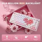 YUNZII B75 PRO Wireless Mechanical Keyboard,75% Layout with Knob,Hot Swap Gasket Structure,Creamy Pre-lubed Switches,RGB Backlit,Bluetooth/Type-C/2.4G for Win/Mac (White, Cocoa Cream V2 Switch)