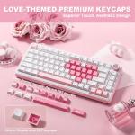 YUNZII B75 PRO Wireless Mechanical Keyboard,75% Layout with Knob,Hot Swap Gasket Structure,Creamy Pre-lubed Switches,RGB Backlit,Bluetooth/Type-C/2.4G for Win/Mac (White, Cocoa Cream V2 Switch)