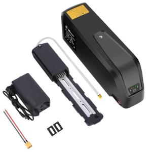 LGECOLFP 48V 20AH Lithium ion Battery Pack with USB Port 5Pin Battery Base XT60 Plug 30A BMS Fit for 1000W-250W Motor