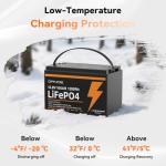 12V 100Ah LiFePO4 Battery Group 31 With Built-in 100A BMS (4 Pack), 1280Wh Lithium Battery with 15000 Deep Cycles, Prefect for Solar System, Rvs, Marine, Vans, Trailer, Backup