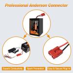 AURYNTHRA 72V 60Ah LiFePO4 E-Bike Battery Pack,3500W Motor Ready, Long Range with 50A BMS Protection, LED Display & Fast Charger for E-Bike/Scooter/Motorcycle