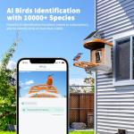 HARYMOR Bird Feeder with Camera with AI Identify Birds Species Solar Panel, Live View, Instant Arrival Alerts