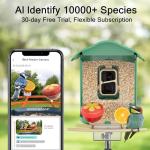 Bird Feeder with Camera with AI Identify, Birds 10000+Species, Smart Bird House with Cam, 2K Live View, IP65 Waterproof