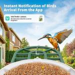 HARYMOR Bird Feeder with Camera with AI Identify Birds Species Solar Panel, Smart Bird House with Cam, 2K Live View, Instant Arrival Alerts