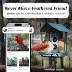 Kiwibit Beako™ Smart Bird Feeder with 4K Camera Solar Powered for Outdoors - Ultra HD Live Stream, Enhanced AI Identification 10,000+ Bird Species, Real-Time Motion Detection, Easy Setup & Refilling