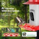Hummingbird Feeder with Camera Outdoor, SV3C Hanging Bird Feeder with Ant Moat & Bee-Proof, HD 2K Solar Powered, AI Bird Identify, Instant App Alerts, Auto Capture, Hummingbird Lover Gifts, 21oz, Red