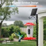Hummingbird Feeder with Camera Outdoor, SV3C Hanging Bird Feeder with Ant Moat & Bee-Proof, HD 2K Solar Powered, AI Bird Identify, Instant App Alerts, Auto Capture, Hummingbird Lover Gifts, 21oz, Red