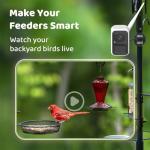 NETVUE by Birdfy Smart Bird Feeder Camera, Adjustable Brackets, Auto Bird Video Capture, Instant Notifications, AI Identify 6000+ Species
