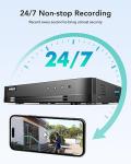 ANNKE 16 Channel Security Camera System HD-TVI 1080P Lite Video DVR and (12) 2.0MP Outdoor IP67 Cameras with Smart Dual Light, AI Human/Vehicle Detection, Color Night Vision, 2 TB Hard Drive