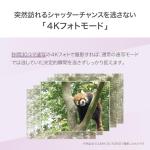 Panasonic LUMIX FZ85 Digital Camera - 60x Zoom