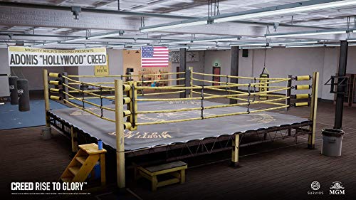 Creed: Rise to Glory for PSVR - PS4