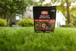 Ortho BugClear Fast-Acting Lawn Insect Killer 10lbs