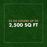 Spectracide Immunox Fungus and Insect Control