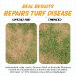 Earth's Ally Natural Lawn Fungicide Spray, 32 oz