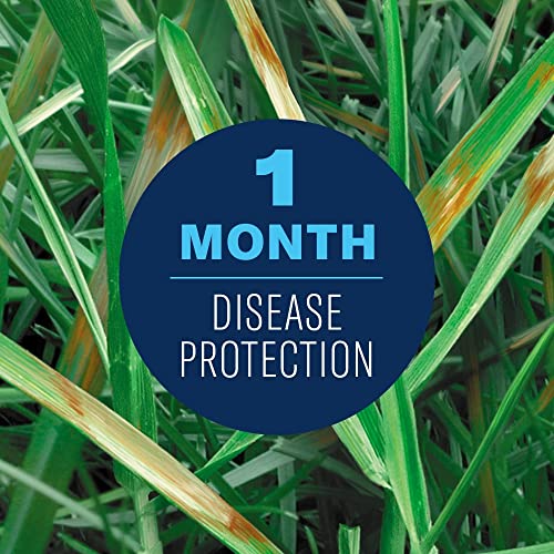 BioAdvanced Ready-to-Spray Lawn Fungus Control, 32 oz