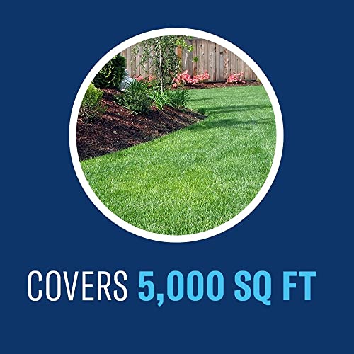 BioAdvanced Ready-to-Spray Lawn Fungus Control, 32 oz