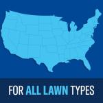 BioAdvanced Ready-to-Spray Lawn Fungus Control, 32 oz