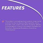 Bonide Infuse Lawn Disease Control Granules, 7.5 lb