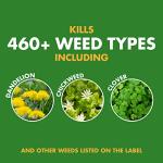 Spectracide Lawn Weed Killer - 32 oz Clear