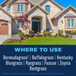 BioAdvanced Lawn Weed & Crabgrass Killer Concentrate - 40oz