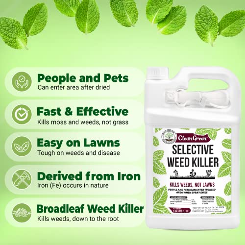 Mighty Mint Selective Weed Killer - Grass Friendly - 1 Gal