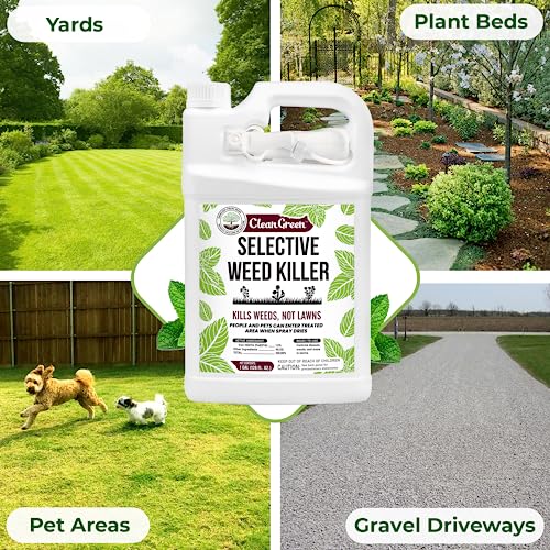 Mighty Mint Selective Weed Killer - Grass Friendly - 1 Gal