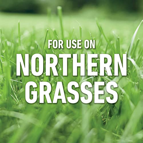 Roundup Tough Weed Killer for Northern Grasses, 1.33gal