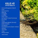 BioAdvanced Insect Killer for Soil and Turf Granules 10lb