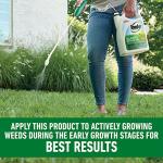 Roundup Tough Weed Killer for Northern Grasses, 1.33gal