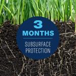 BioAdvanced Insect Killer for Soil and Turf Granules 10lb