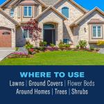 BioAdvanced Insect Killer for Soil and Turf Granules 10lb