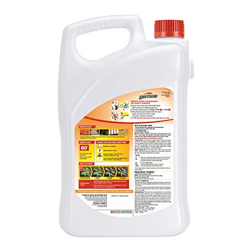 Spectracide Weed & Grass Killer for Driveways and Gardens