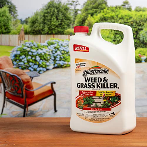 Spectracide Weed & Grass Killer for Driveways and Gardens