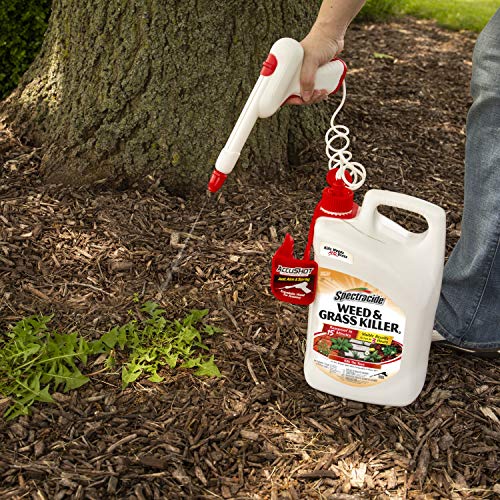 Spectracide Weed & Grass Killer for Driveways and Gardens