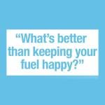 HappyFuel Premium Fuel Stabilizer for Lawnmowers and More