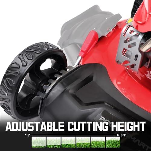 PowerSmart Gas Lawn Mower 21in. 144cc 2-in-1