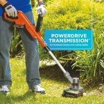 BLACK+DECKER Cordless String Trimmer and Edger, 12 Inch