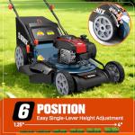 SENIX 21" Self-Propelled Lawn Mower with B&S Engine