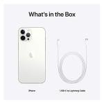 Apple iPhone 12 Pro Max (256GB, Silver) [Locked] + Carrier Subscription